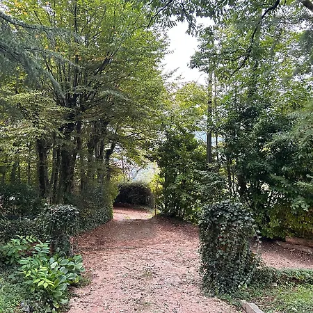 Parco Vasela 招待所 *